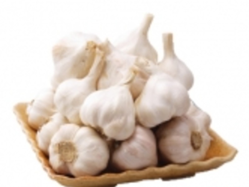 ���⽴���������