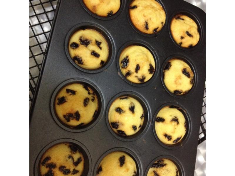 ���۶���С�ɱ�������