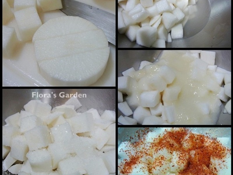 ��ʽ�ܲ��ݲ�-FoodSaverʳ����ջ�������