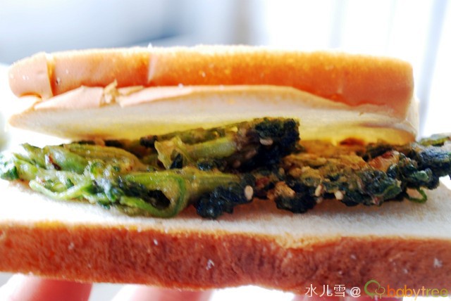 ɽ�˺�����������