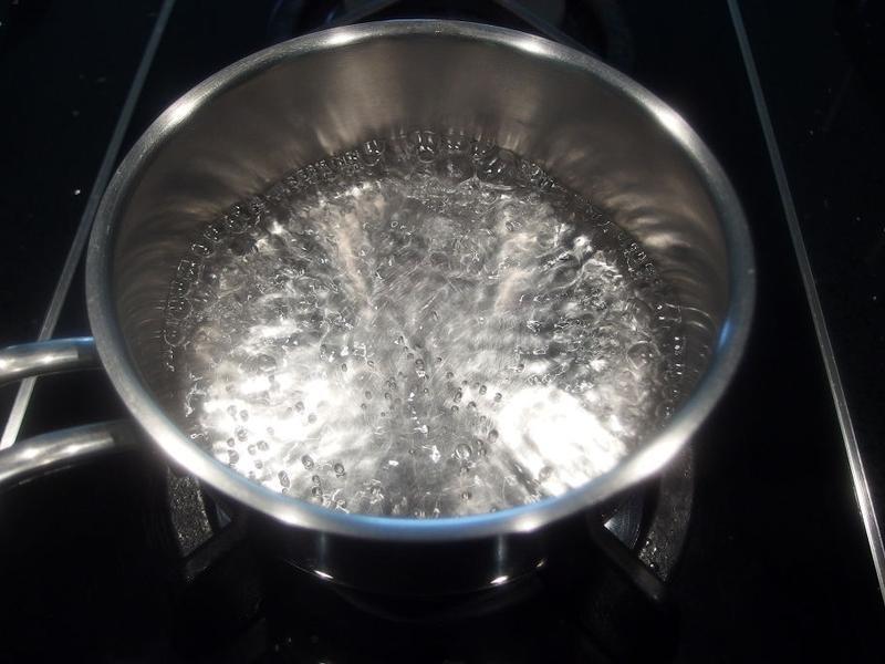 ��ţ�������������