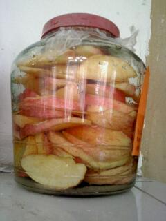 ����ƻ���Ƶ�����