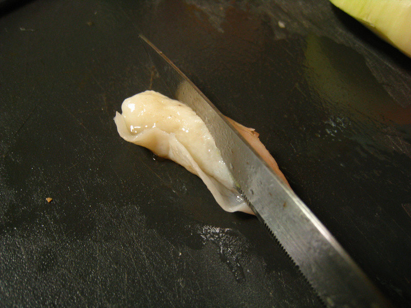 ��֦�Ⱥͷ�ɳ��������