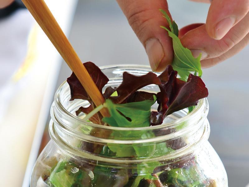 ������Ұ�͡�����Ұ�˲�����ɳ��������