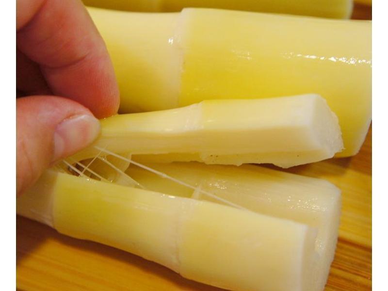 VIVI Ũ�������������