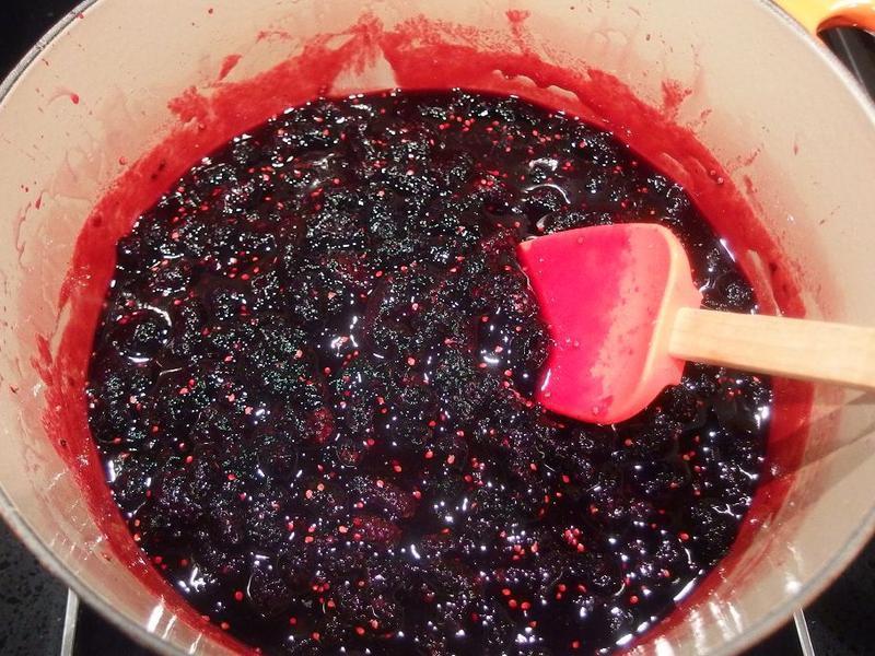 ��ɣ驹���&��֭��������