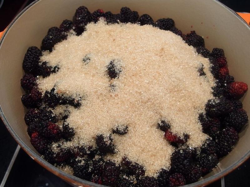 ��ɣ驹���&��֭��������