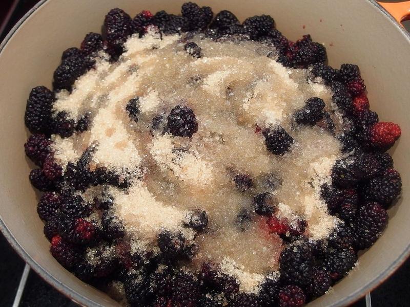 ��ɣ驹���&��֭��������