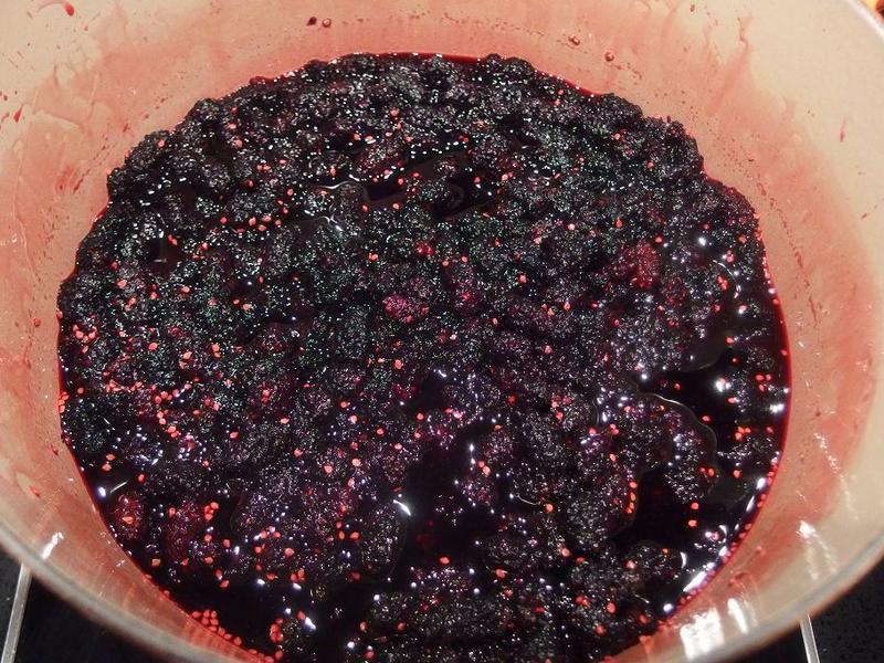 ��ɣ驹���&��֭��������