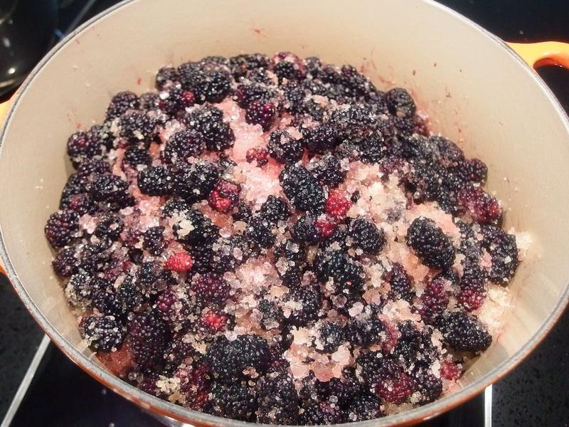 ��ɣ驹���&��֭��������