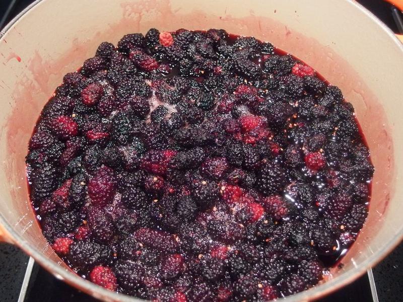 ��ɣ驹���&��֭��������