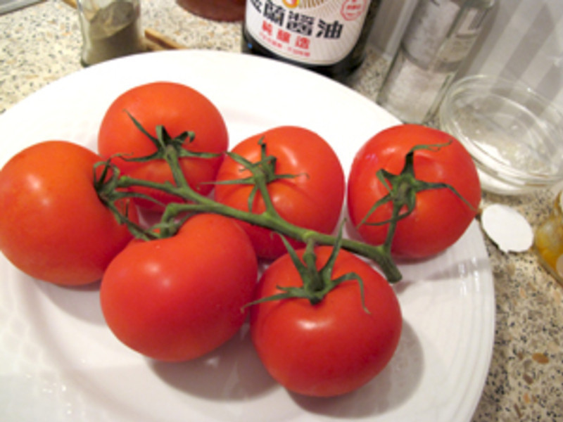 ���� ެ��ţ�� �� �ֹ������������