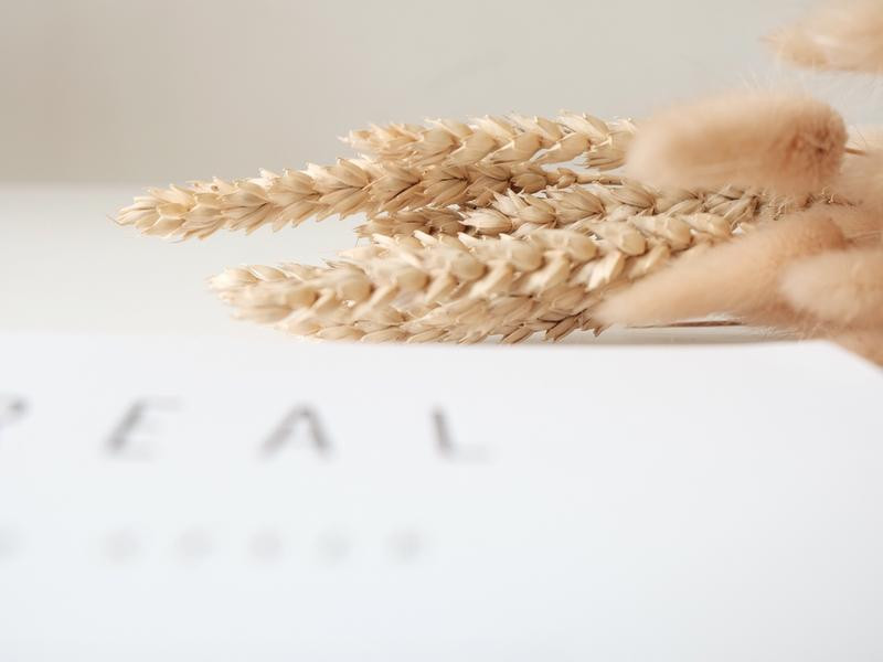 ����ζ�����������