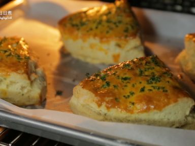 ����ţ��˾����������