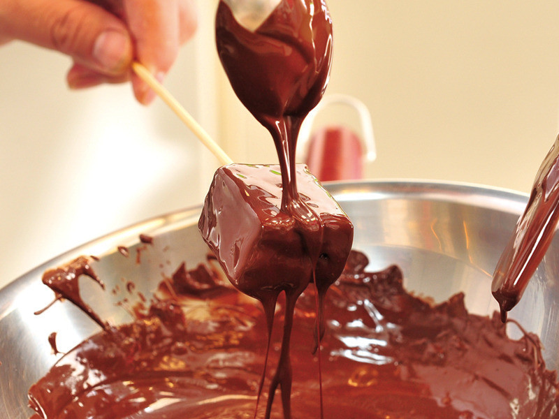 �����ʳ��ʥ��Party!���ڽ��ͷ��ɿ���������