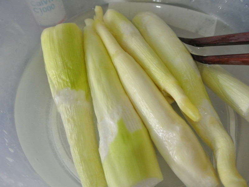 ��������ŵ��C���ݶ���������