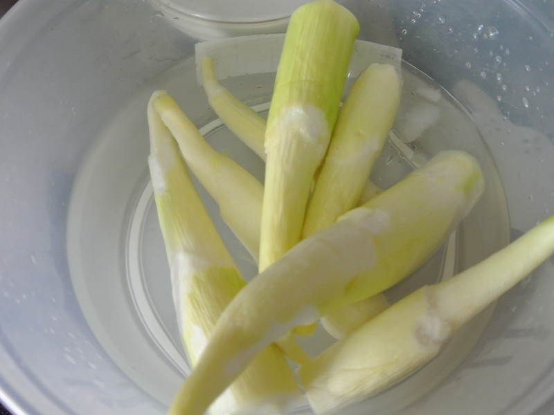 ��������ŵ��C���ݶ���������