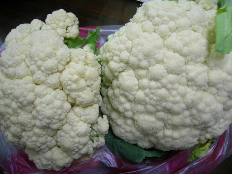 Ӫ��ʲ����������