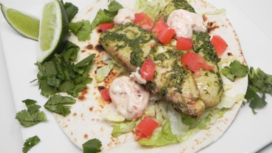 ��ը���ױ�������