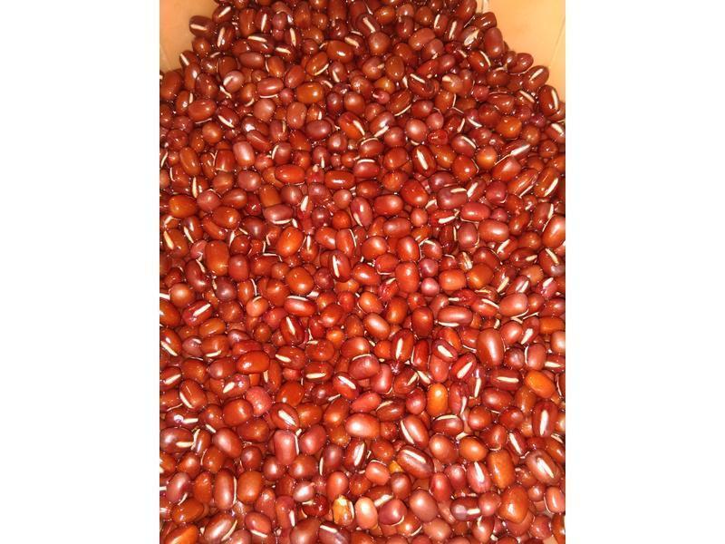 ����-�ۺ춹�������