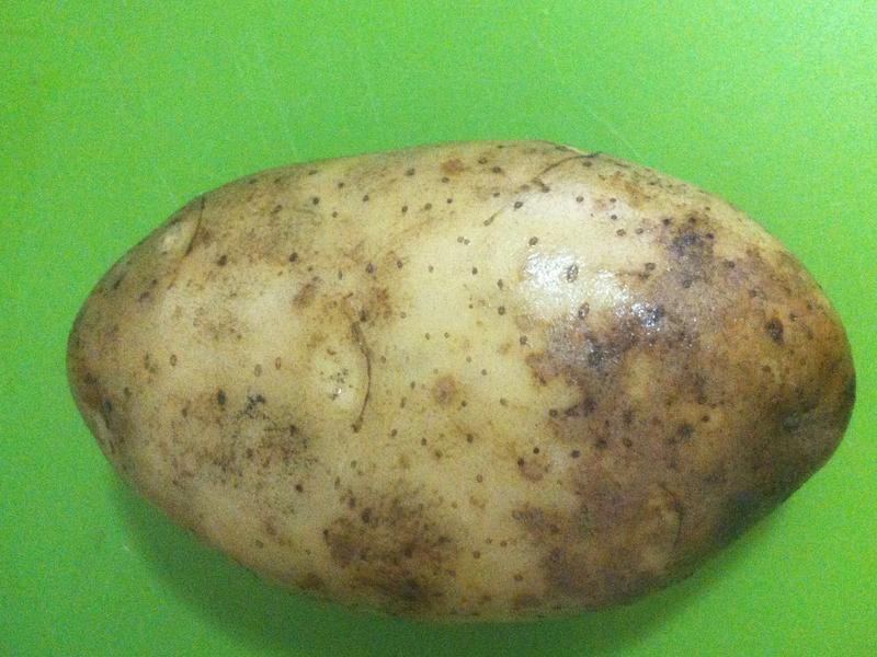 ����ը�����������������