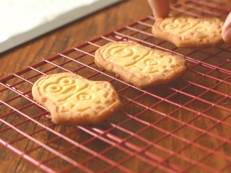 ӡģ�������������