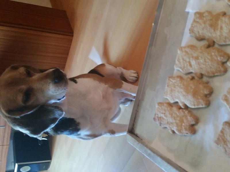 С���Ϲ��������������