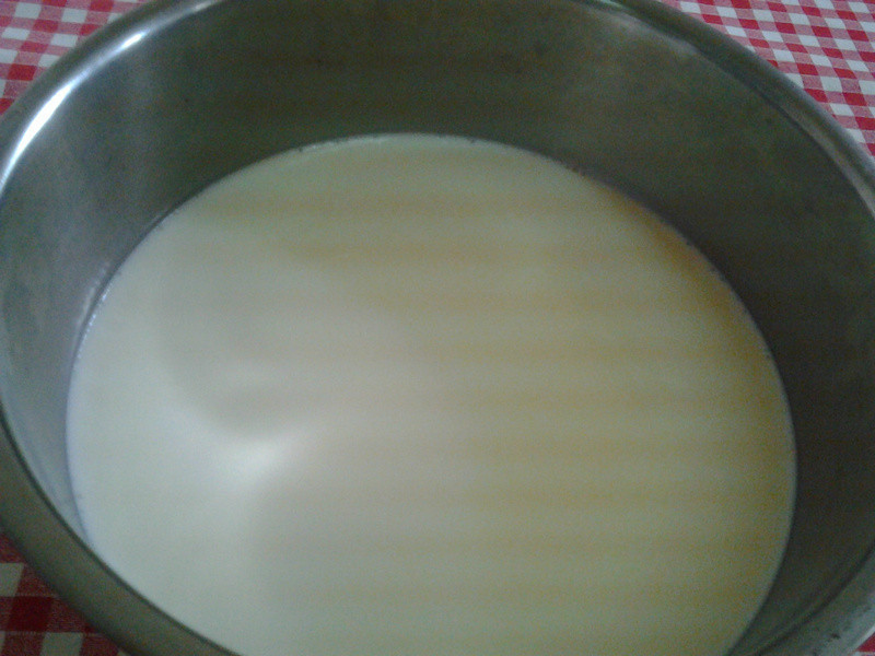 Y�ҵ�С����--�������򵥵��Ÿ������