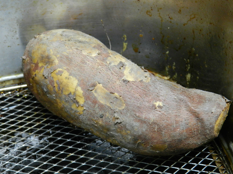 ֥˾����˾�ع��������