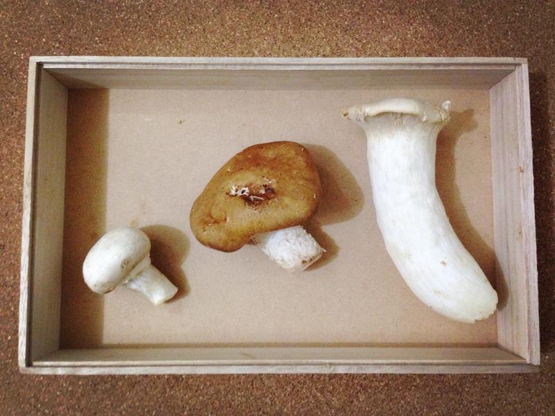 ������ŵ����Ũ��������