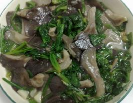 ��Ұ�ʹ�������