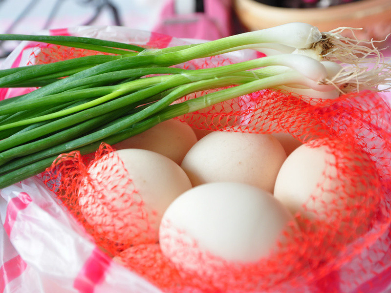 �������һ������͡�������˾�浰������