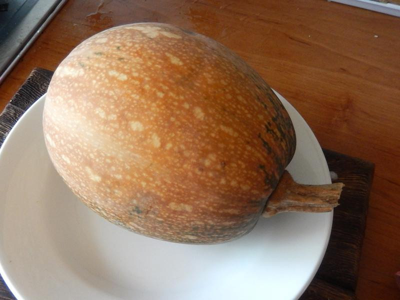 �ҹ���ħ���Ϲϵ�����������