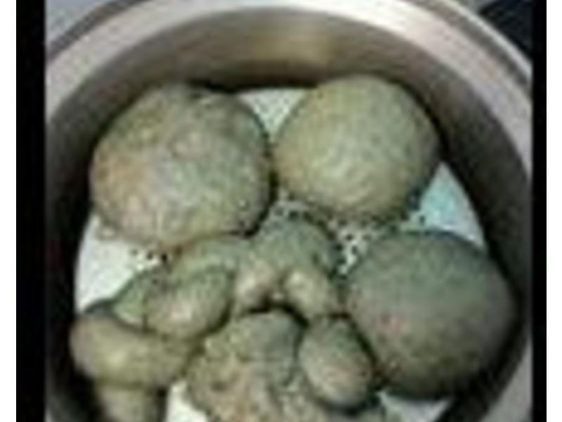 ����֥���������