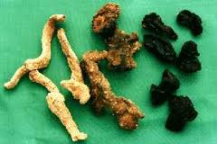 考生安神养气补脑汤的做法