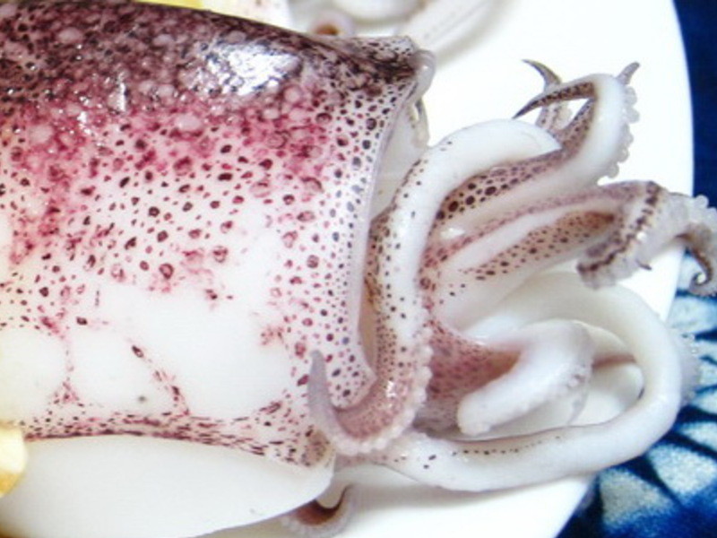 С������ζ��������