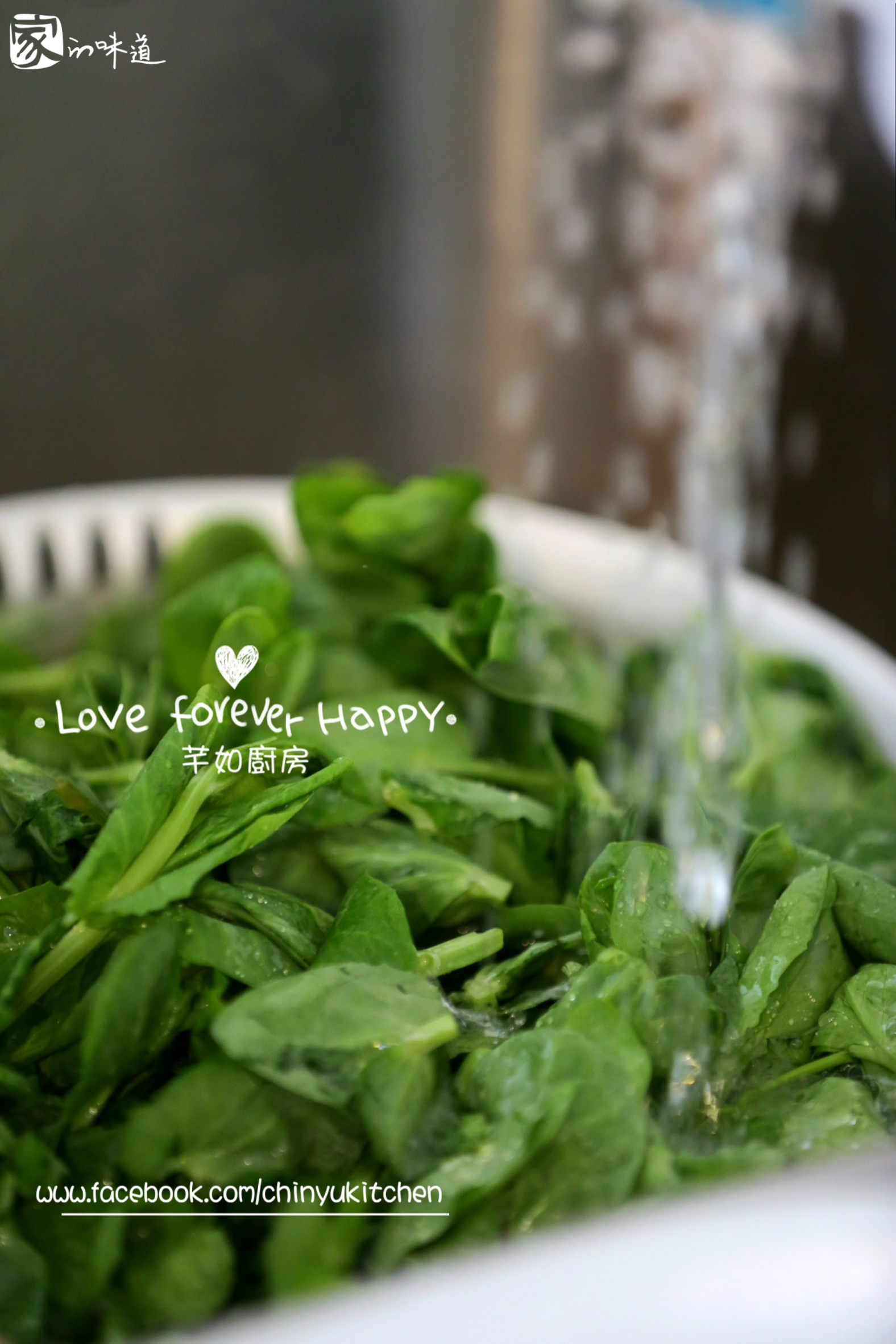 ���������⻨��������