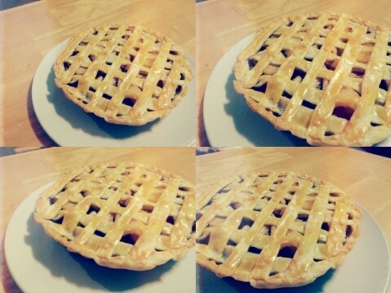 ��PiePie��ŨŨƻ���� ��ʽƻ���ɹ���������