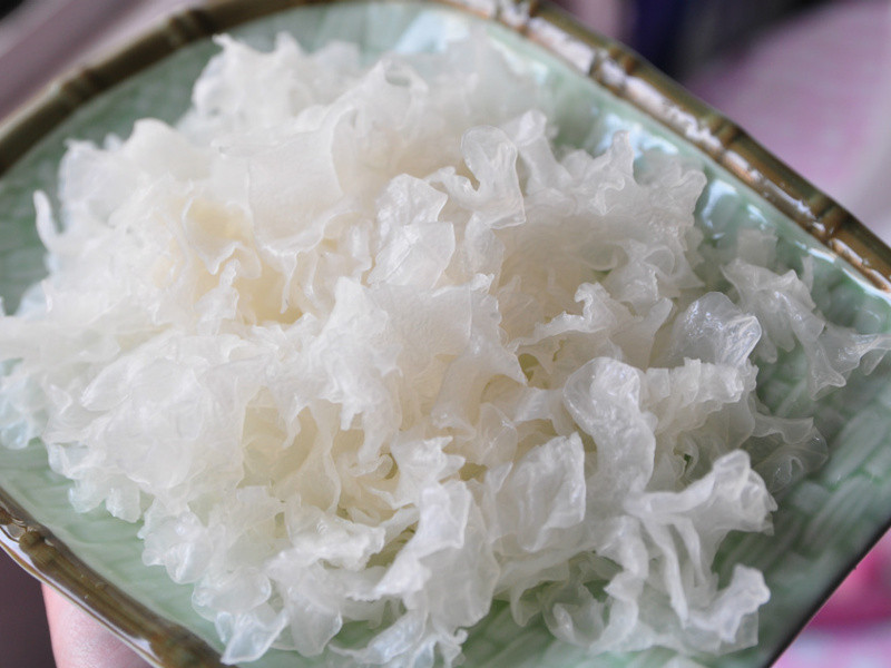 ����������¶��������