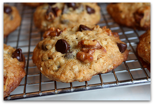 �㽶���ұ�������