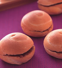 ���Ÿ����������