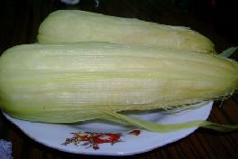 �����׵�����