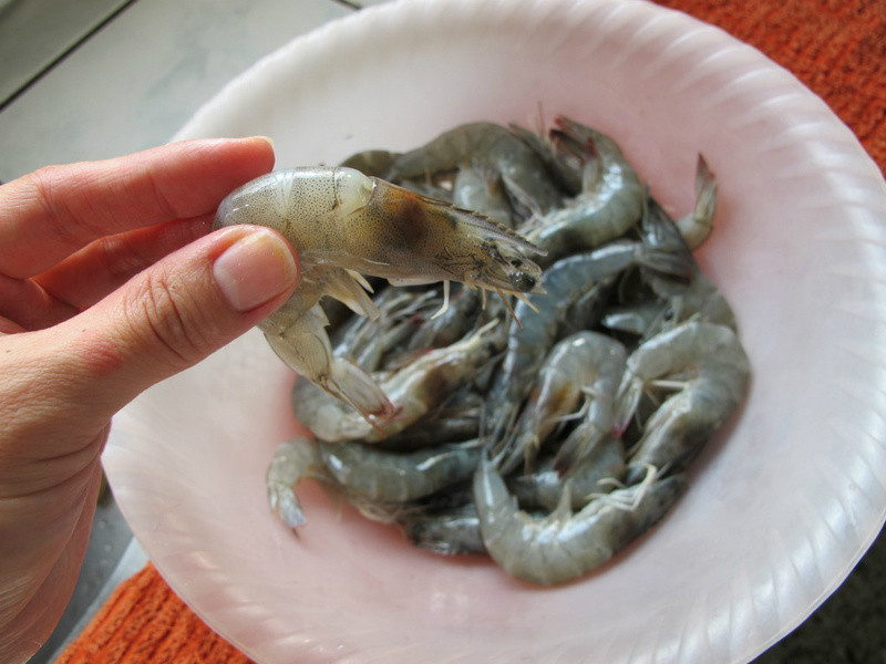 ������?���ʺ���Ϻ������