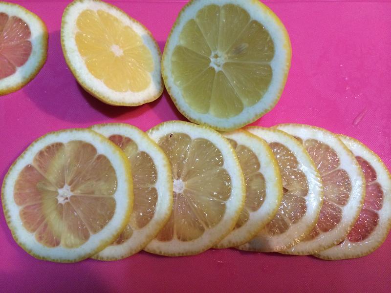 �����������X��������Ƭ������