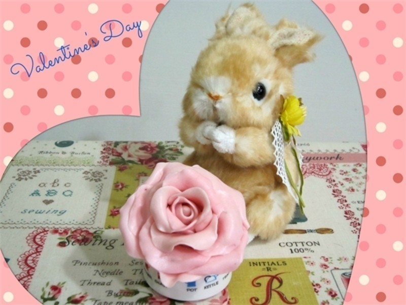 ������Բ������