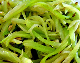 ��ݫ��˿������