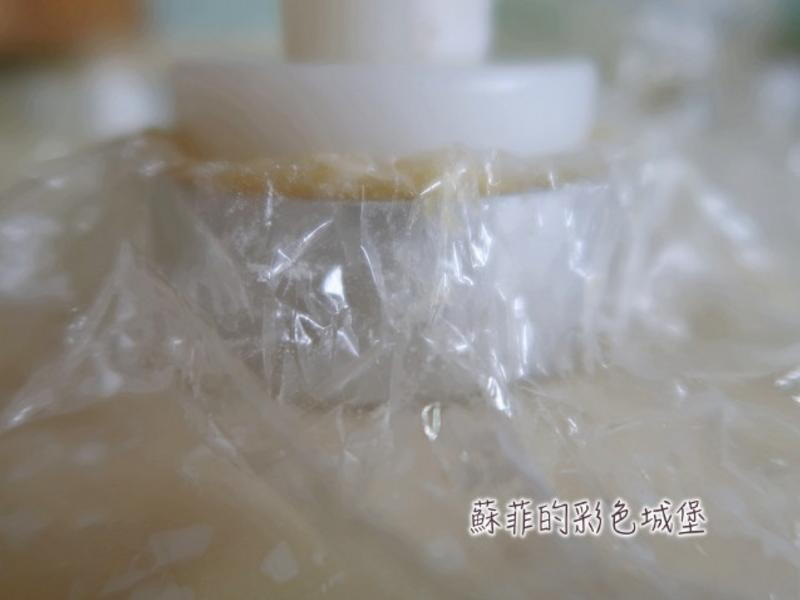 ��ʽõ�廨������������