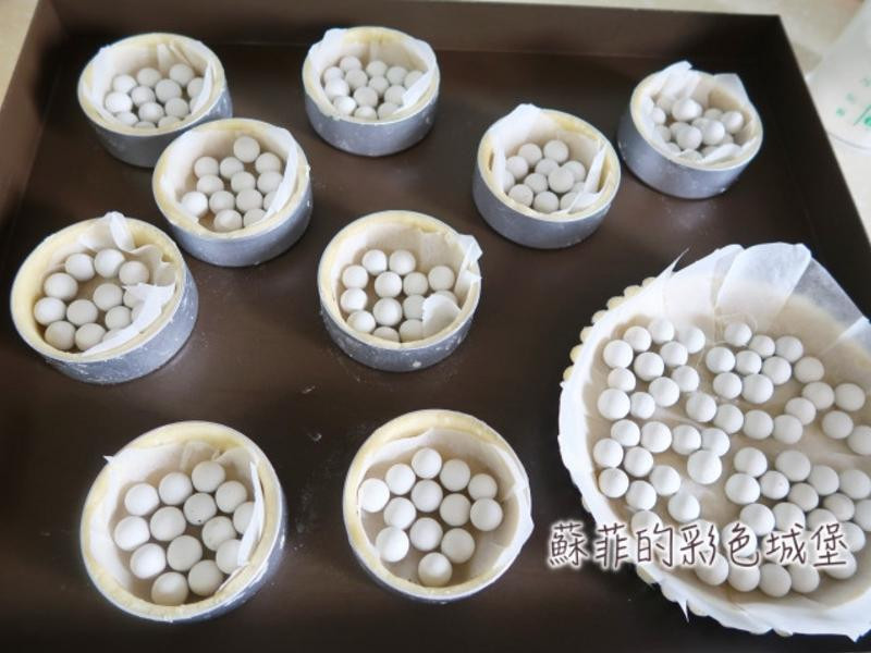 ��ʽõ�廨������������