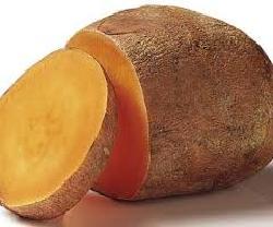 ��ͳ�������������