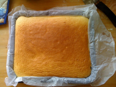 *���ɿ������ֵ��ݷ絰�⡾����רҵ����ʦָ����������